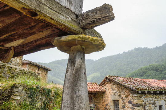 Typical Asturian granary in the town of Bandujo