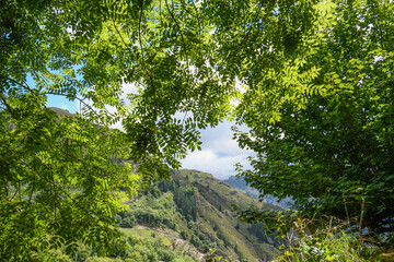 Fototapeta premium Mountainous landscape in Asturias 