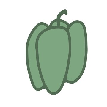 Isolated green bell pepper illustration 
