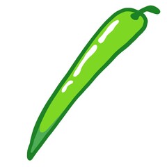 Isolated drawn green chili pepper