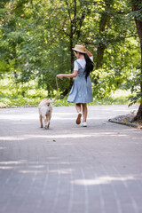 Fototapeta premium back view of woman in straw hat and sundress strolling with dog on walkway in park