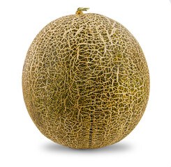 melon is a sweet fragrant fruit with a yellow thin skin and honey pulp