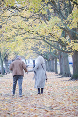 Affectionate senior couple holding hands, walking among trees and leaves in autumn park