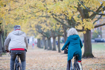 Fototapeta premium Senior couple bike riding among leaves and trees in autumn park