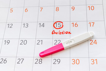 Ovulation day mark in calendar with ovulation home test