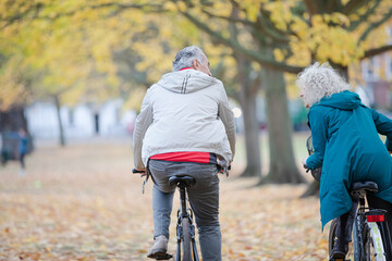 Fototapeta premium Senior couple bike riding among trees and leaves in autumn park