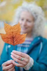Curious senior woman holding orange autumn leaf in park
