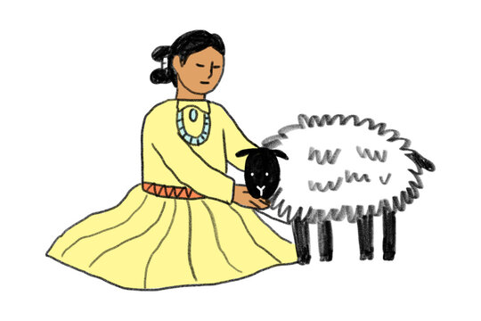 Navajo woman feeding sheep