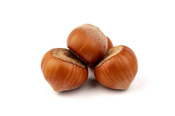 Group of hazelnuts, isolated on white background
