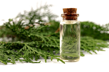 Obraz na płótnie Canvas Cypress essential oil isolated on white background. Cypress oil on bottle for beauty, skin care, wellness. Alternative medicine