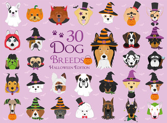 Set of 30 dog breeds with Halloween costumes