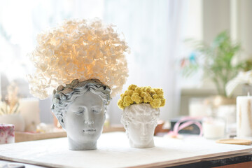human bust with a potted plant as a spikey hairstyle of Dried Hydrangea flowers