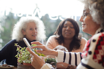 Senior women friends using smart phone, drinking coffee at autumn park cafe