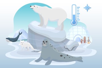 Northern pole cold place wild animal bear, ocean seal, arctic fox beast, alaska citizen flat vector illustration, isolated on white.