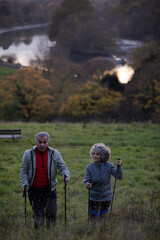 Smiling, affectionate senior couple wih walking stick