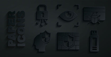 Set Shield with brick wall, System bug in credit card, Head shield, USB flash drive, Eye scan and Cyber security icon. Vector