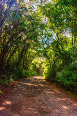 Paisagem