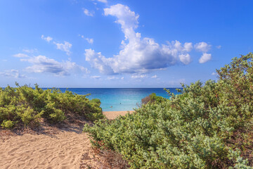 Torre Colimena Beach in Apulia, Italy. Inside the Nature Park “Palude del Conte e Dune...