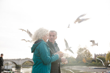 Affectionate senior couple watching birds flying at river