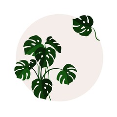 Monstera. The emblem with the image of a plant in a circle. Background. Vector flat illustration. Template for a postcard.
