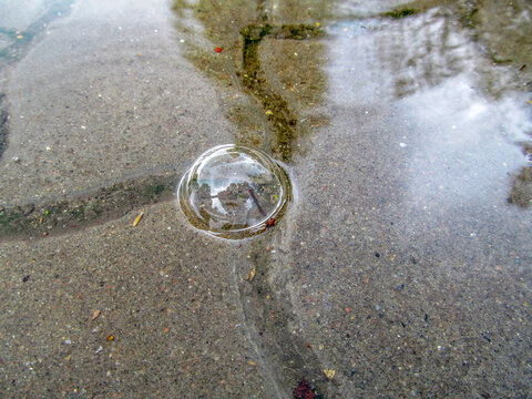 Bubble in a puddle after the rain
