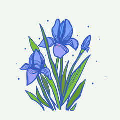 Stylized iris flower, vector illustration for card