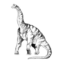 Dinosaur Ultrasaurus on a white background, a sketch with a pen.