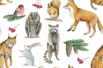 Seamless pattern with forest animals.
Plants - cones, spruce branches, mountain ash. Watercolor illustrations of the inhabitants of the forest. Drawings of nature and animals. Print for fabric. 