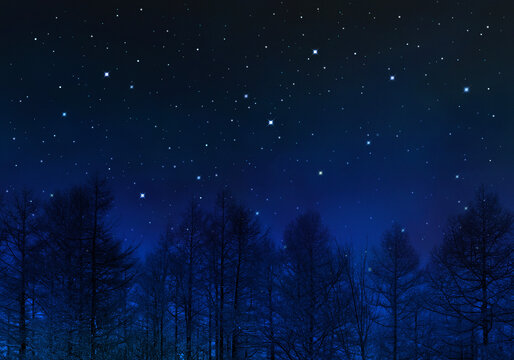 冬の星空 Images Browse 94 Stock Photos Vectors And Video Adobe Stock