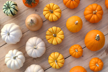 Pumpkins colorful autumn background