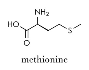 Methionine (L-methionine, Met, M) amino acid molecule. Skeletal formula.