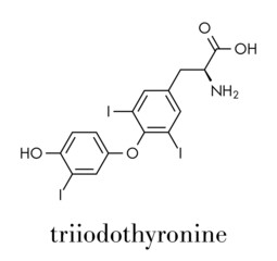 Triiodothyronine (T3, liothyronine) thyroid hormone molecule. Pituitary gland hormone. Also used as drug to treat hypothyroidism. Skeletal formula.