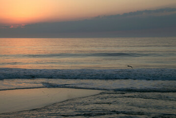 early morning sunrise in Ocean City, MD