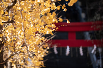 일본 가을의 신사