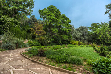 alley in the Nikitinsky Botanical Garden