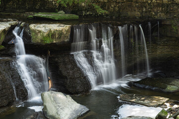 Naklejka premium waterfall in the forest