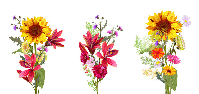 Bright autumn flowers, set of bouquets: lily, sunflower, aster, thistle, gerbera, daisy, small green twigs on white background. Digital draw, illustration in watercolor style for fall holidays, vector