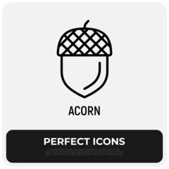Acorn thin line icon. Modern vector illustration.