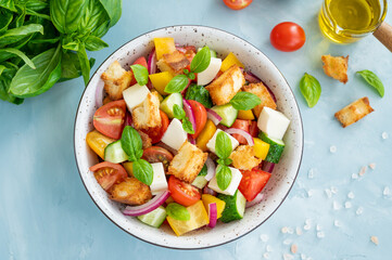 Panzanella salad, Italian bread and fresh vegetable salad. Copy space.