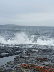 waves crashing on rocks