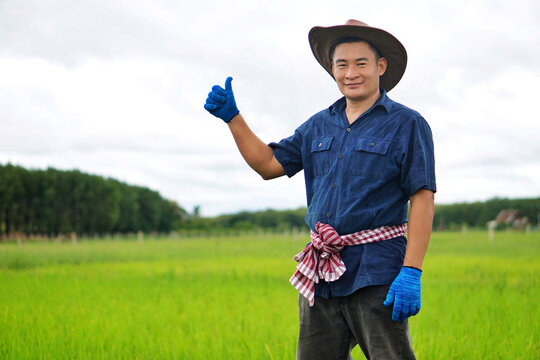 Thai ,Asian male farmer  shows thumb up at green organic rice paddy field. Concept special holiday for farmers. Satisfied in production.