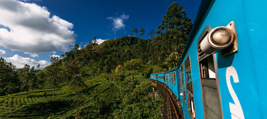 Blue train in Sri Lanka, panorama. Train from Ella in Nuwara Eliya in Sri Lanka island. Travel to Sri Lanka, the blue train travels through tea plantations. Traveling by train. Copy space