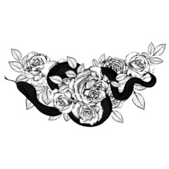 A bouquet of roses and a snake. Botanical line art illustration. Sketch. Gothic vintage tattoo.