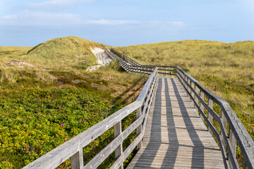 Fototapeta na wymiar Wooden path through the Dunes to the Beach.