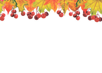 Watercolor seamless border isolated on white background. Collage of hand drawn viburnum, maple leaves. Perfect for invitations, banners, greeting cards, textiles, business cards, websites. 