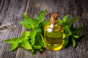 Glass bottle of peppermint essential oil with fresh green mint leaves, mint oil