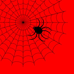 Fototapeta premium Vector illustration of spider on web isolated on red background