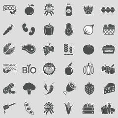 Organic Food Icons. Sticker Design. Vector Illustration.
