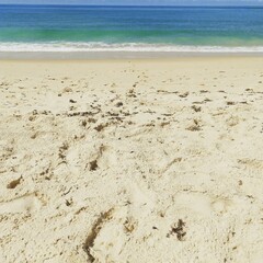 footprints on the beach