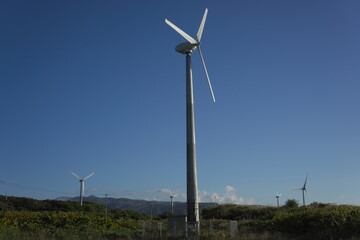 沢山の風力発電機